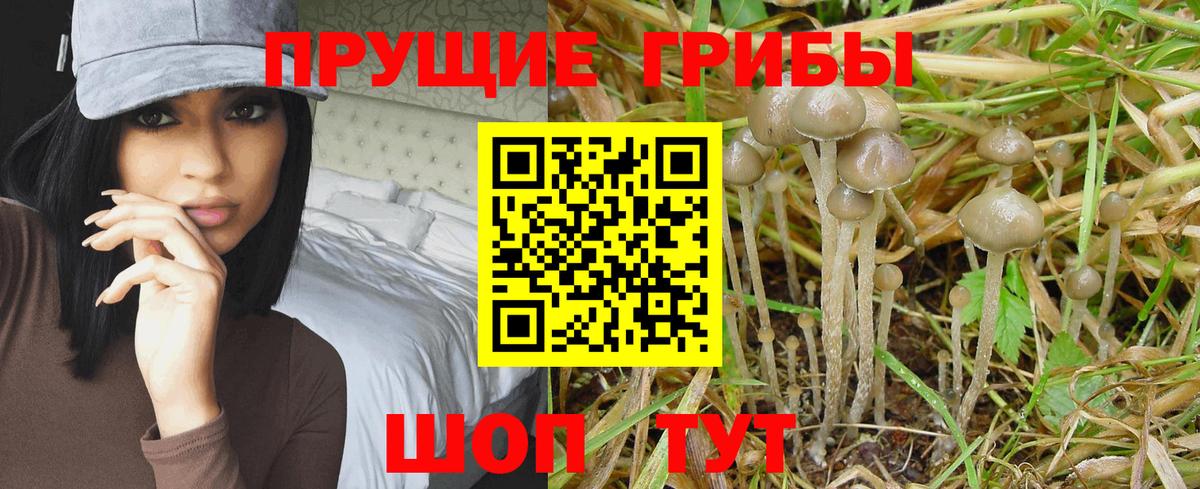 Псилоцибиновые грибы мухоморы Сыктывкар